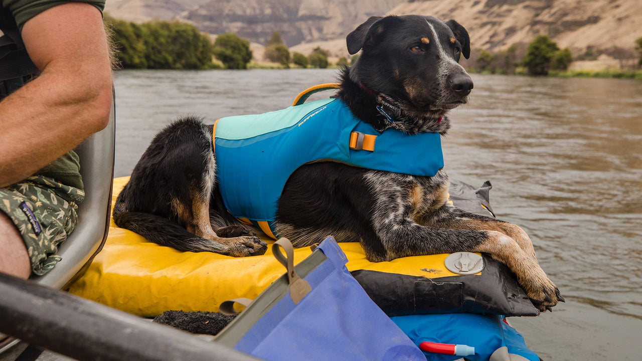 Ruffwear Float Coat™ Dog Life Jacket