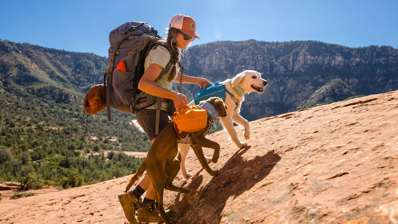 Ruffwear Approach™ Dog Pack