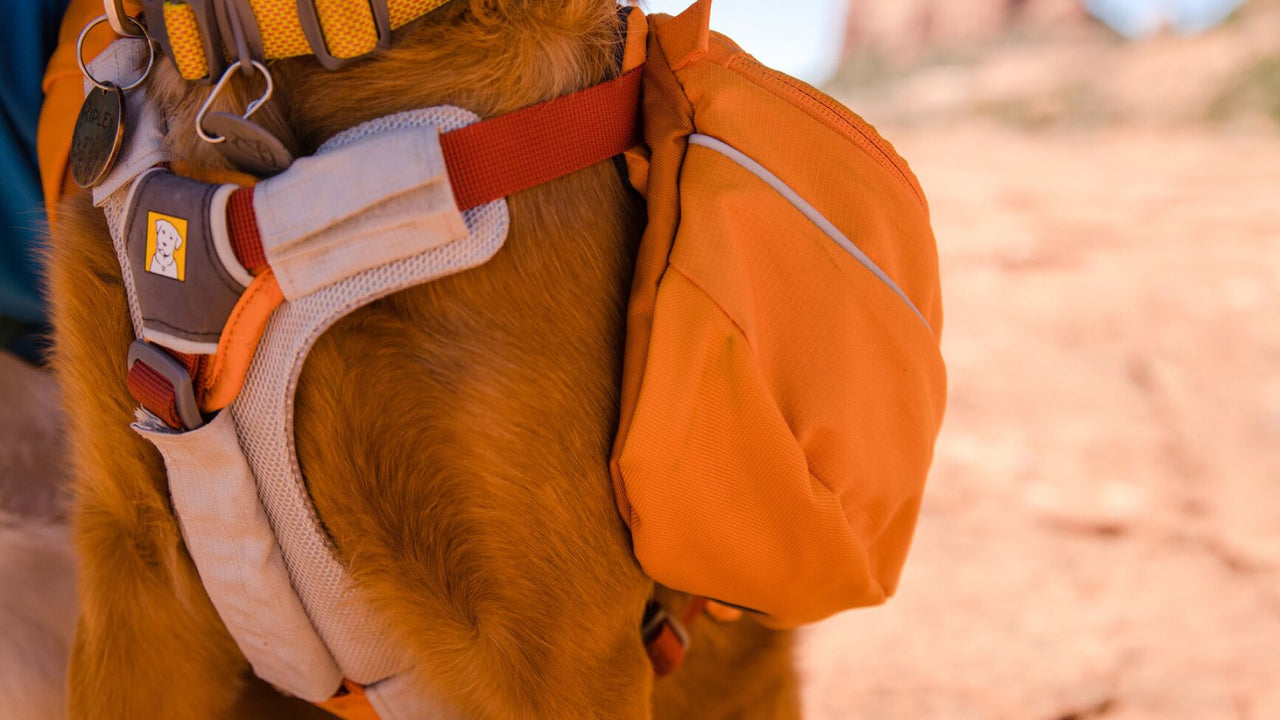 Ruffwear Approach™ Dog Pack