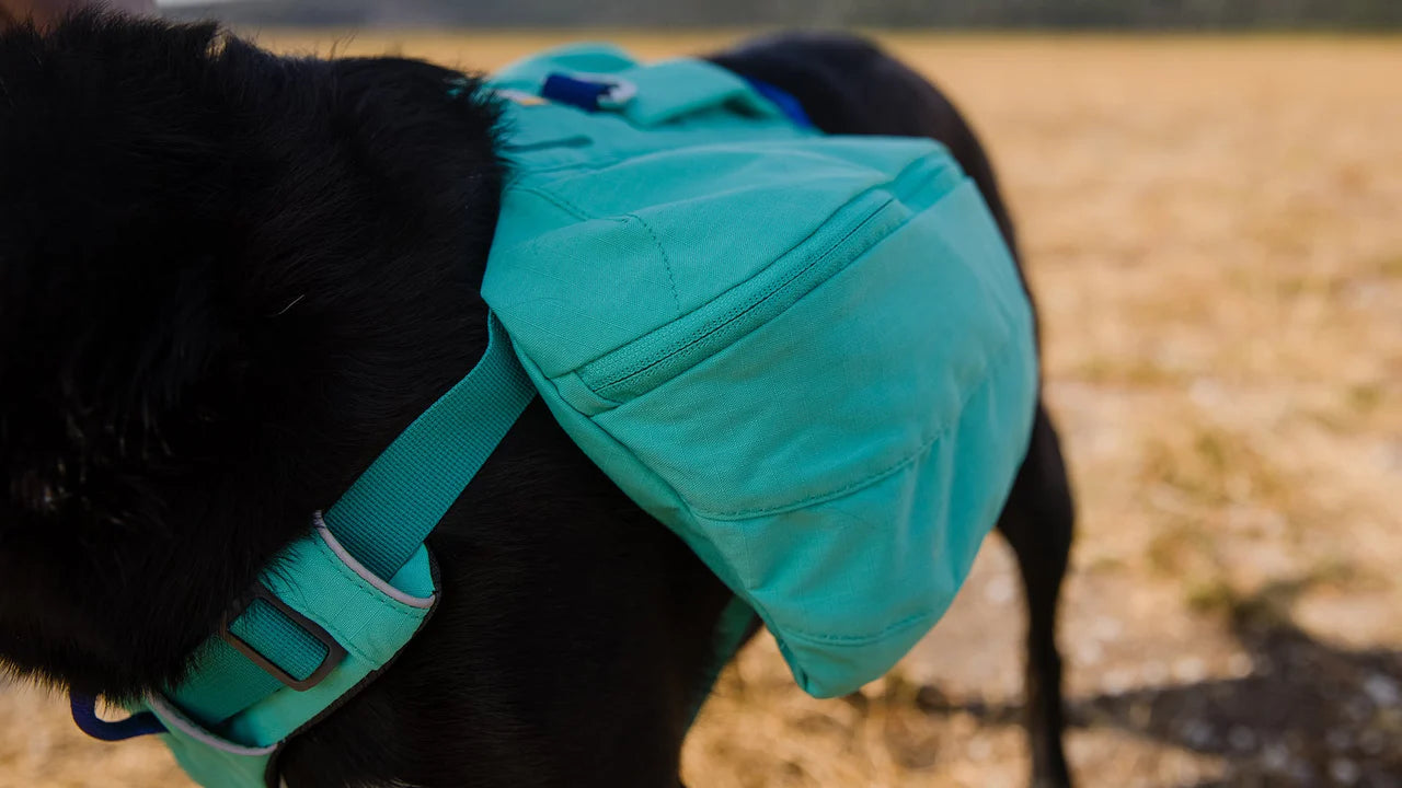 Ruffwear Front Range™ Day Pack