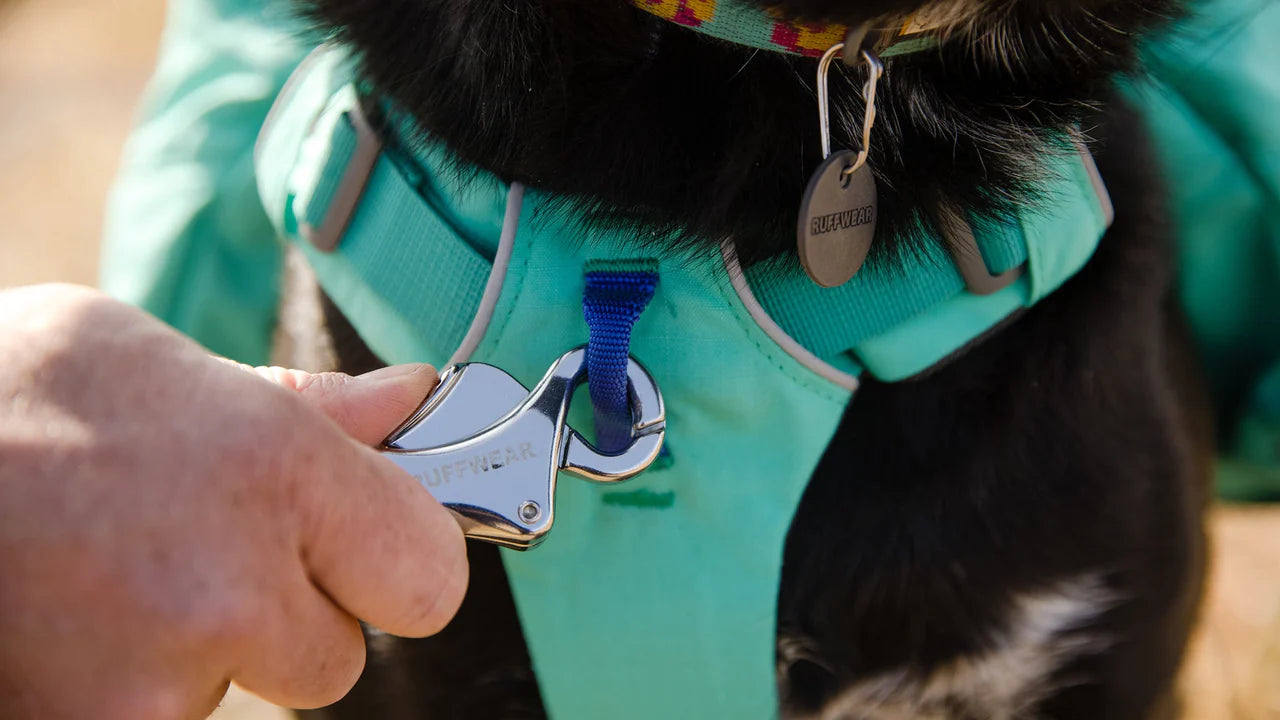Ruffwear Front Range™ Day Pack