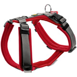 Hunter Maldon Up Harness