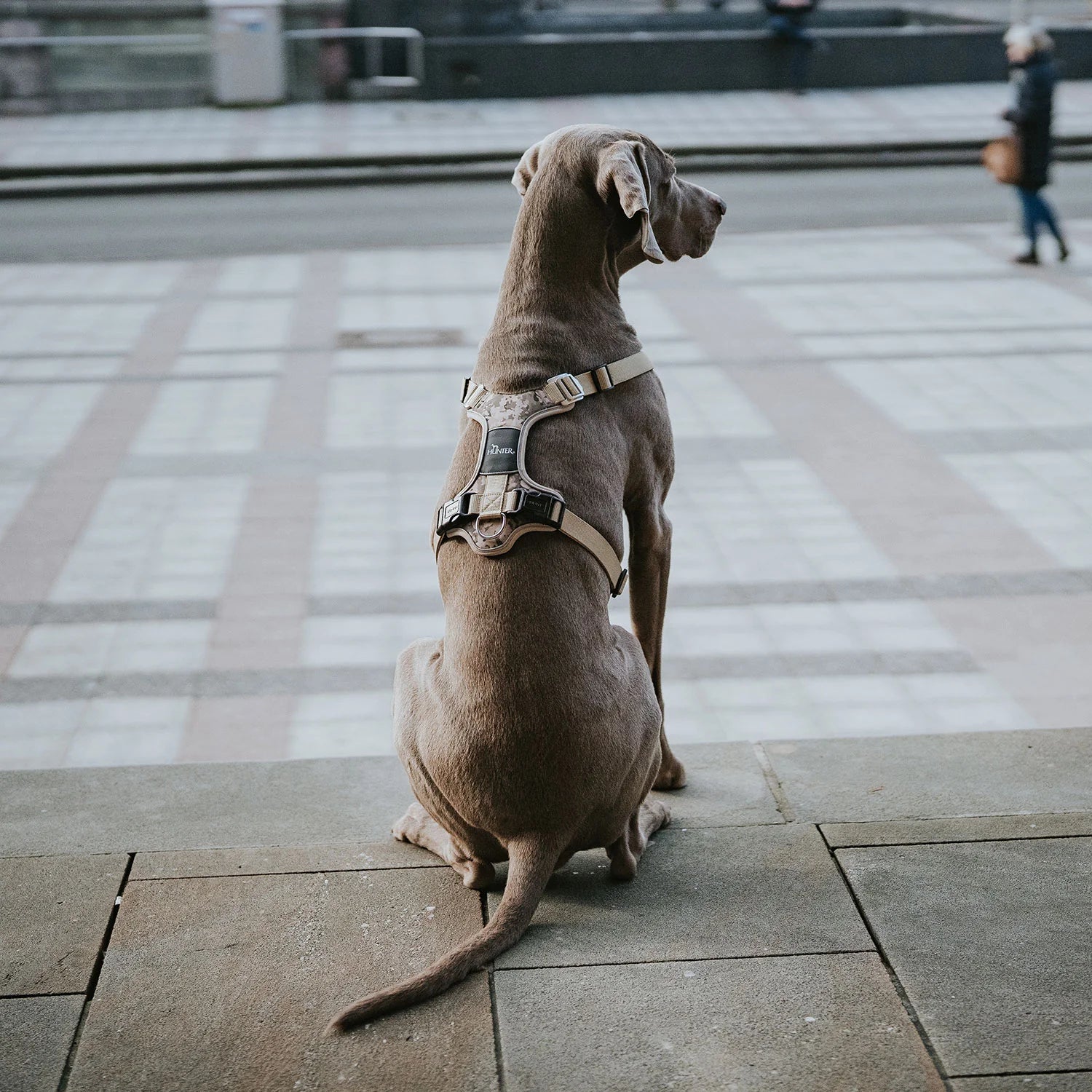Hunter Divo Camo Harness
