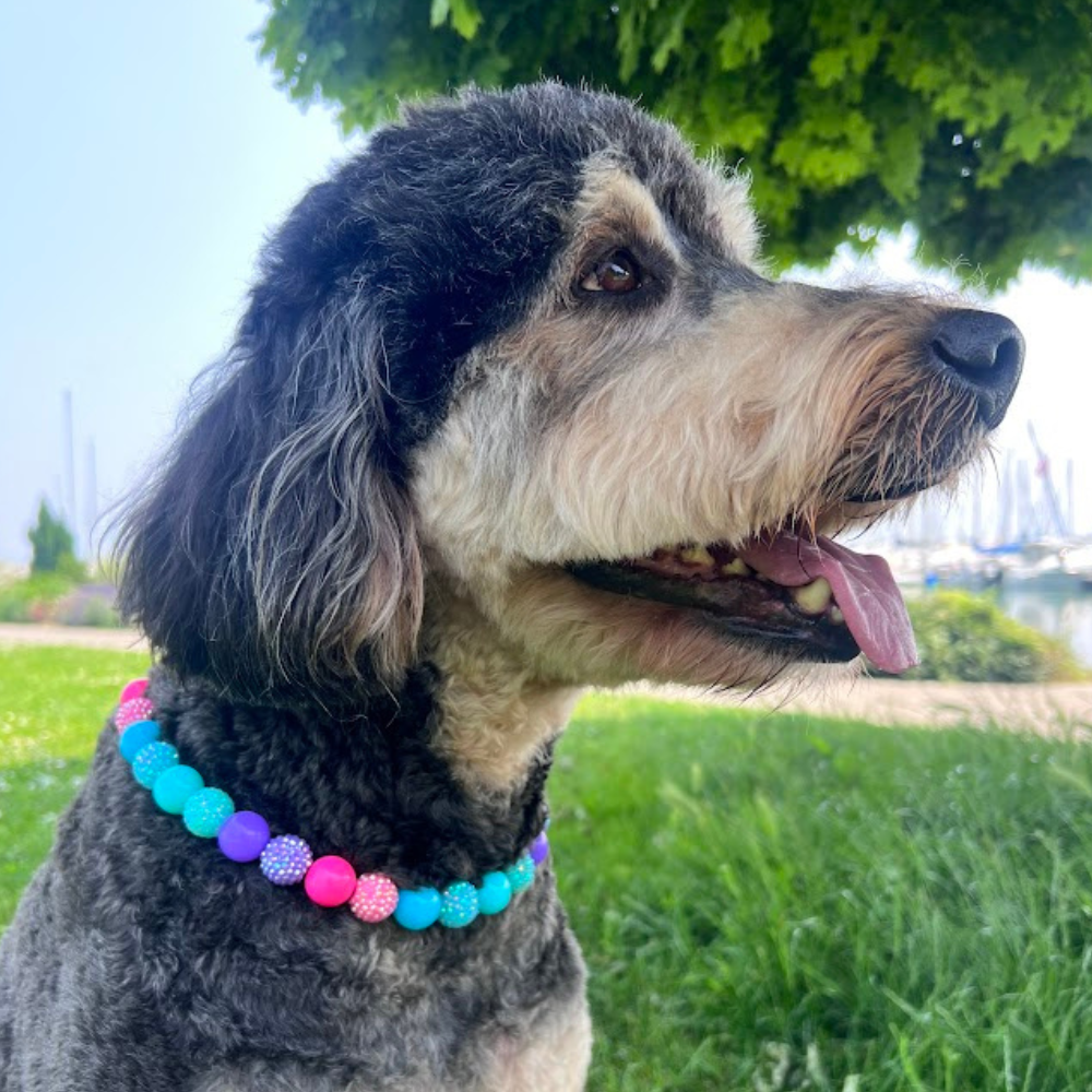 Galaxy Sparkle Acrylic Bead Dog Collar