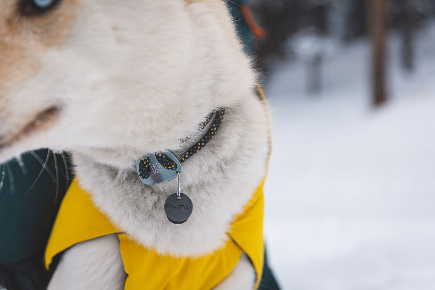 Ruffwear Knot-a-Collar™ Rope Dog Collar