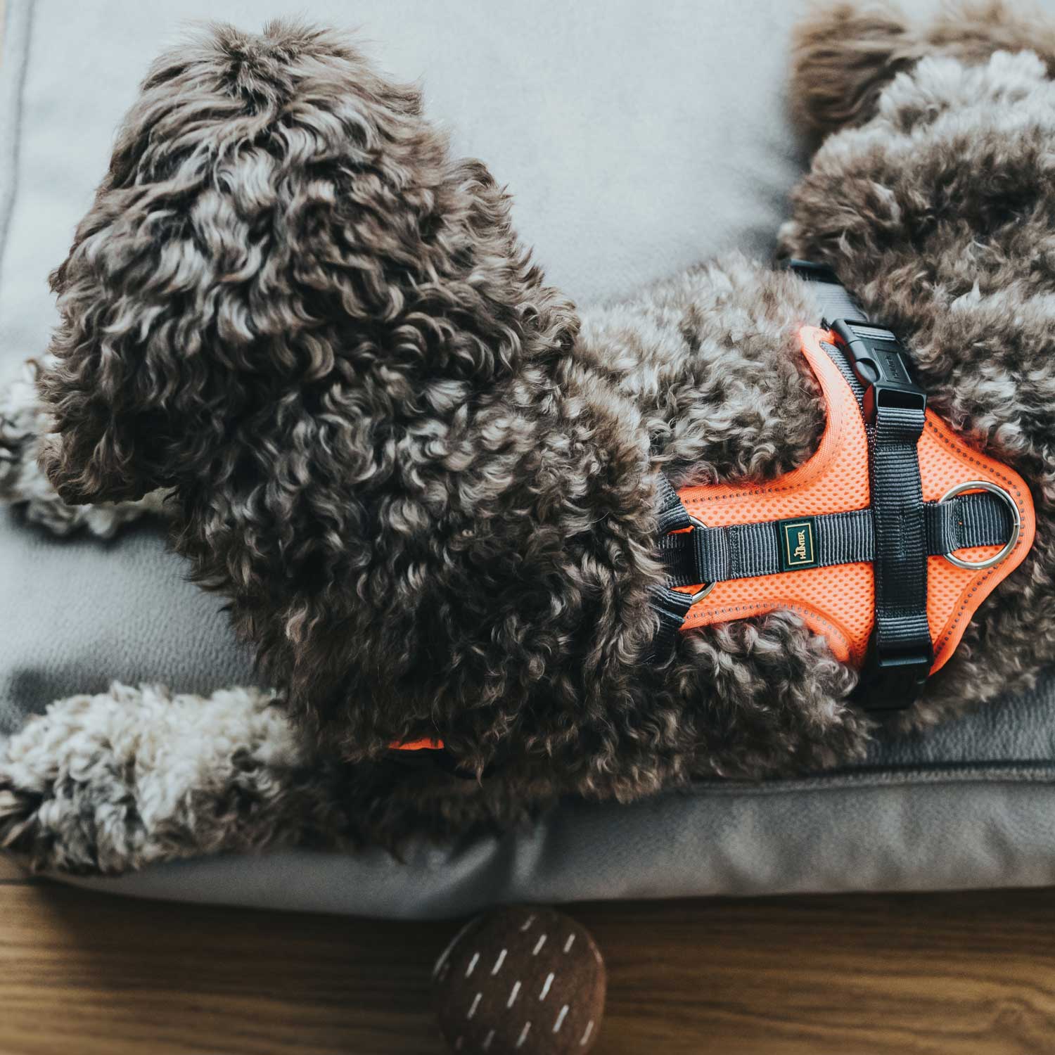 Hunter Maldon Up Harness