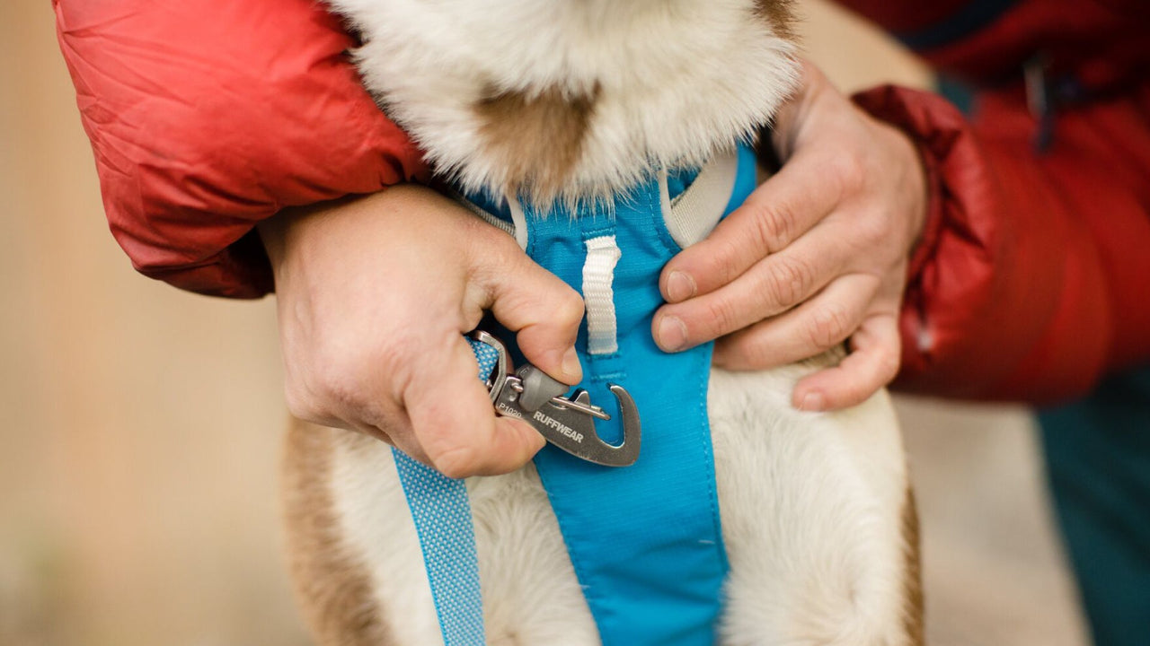 Ruffwear Flagline™ Dog Harness
