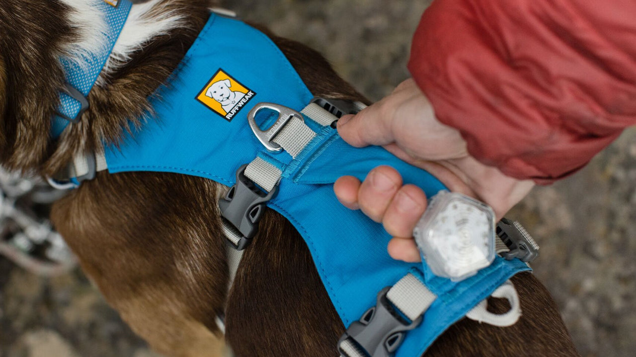 Ruffwear Flagline™ Dog Harness