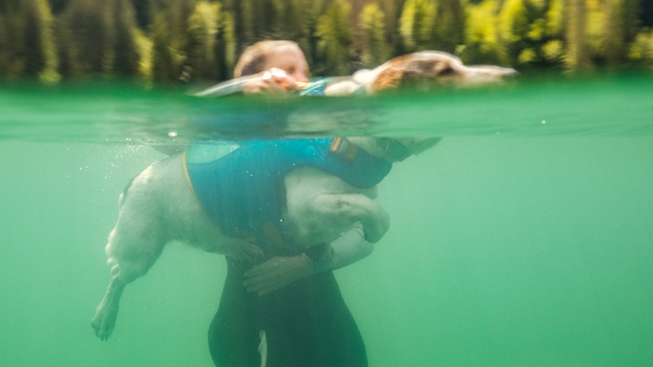 Ruffwear Float Coat™ Dog Life Jacket