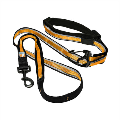 Kurgo Quantum 6-in-1 Dog Leash