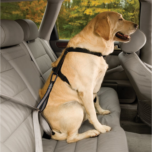 Kurgo Seatbelt Tether