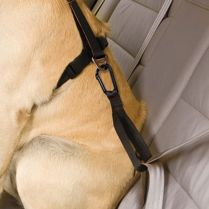 Kurgo Seatbelt Tether