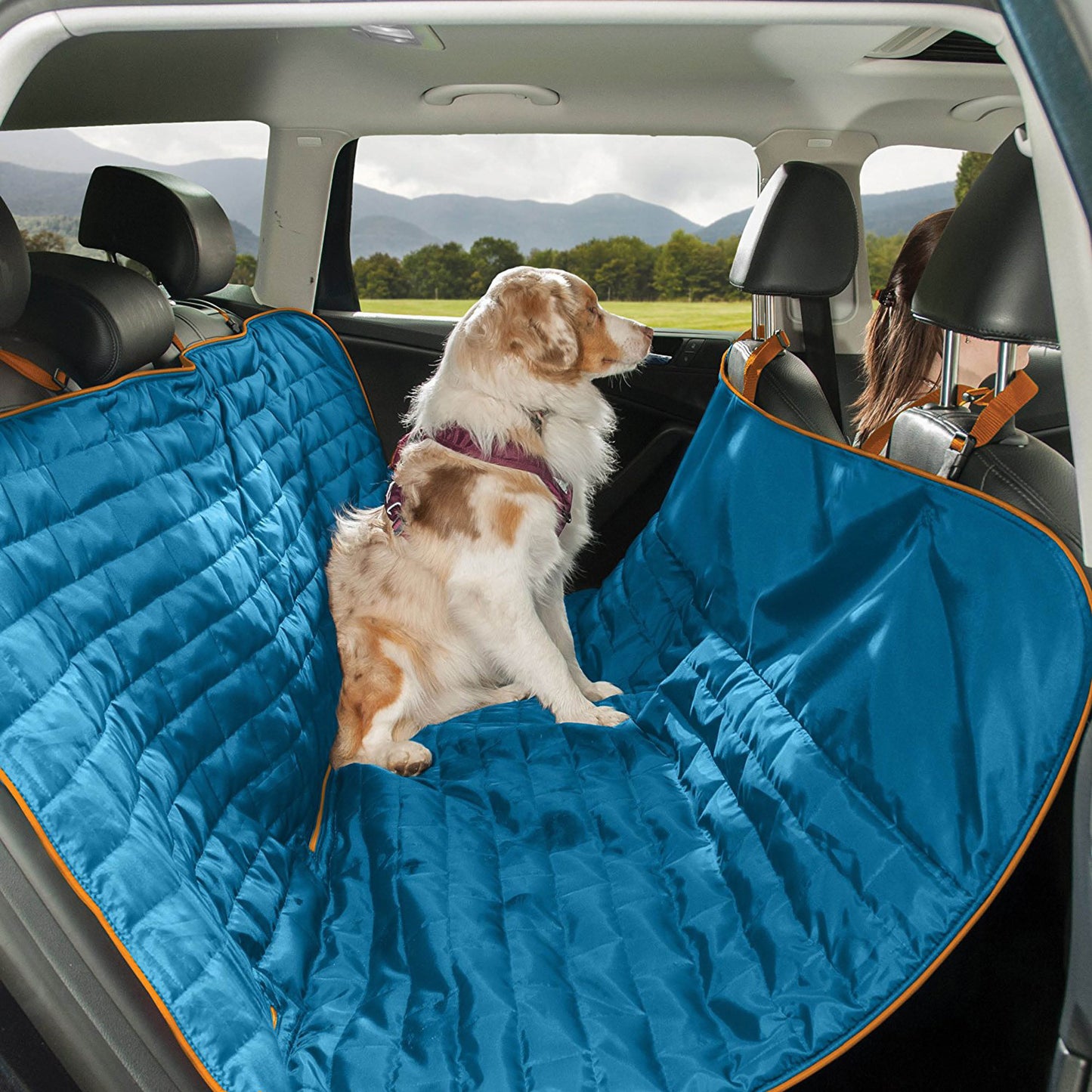 Kurgo Loft Hammock Car Seat Cover