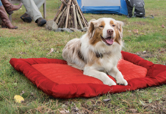 Kurgo Loft Wander Bed for Camping