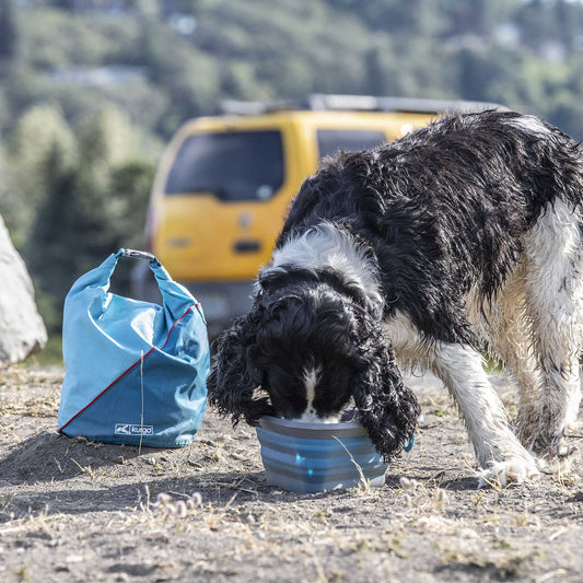 Kurgo Kibble Carrier