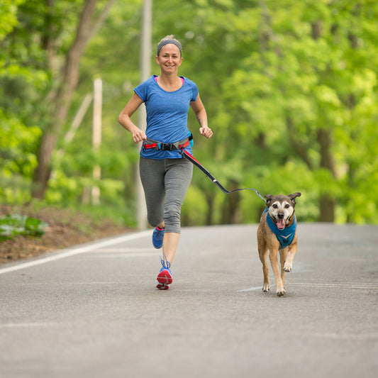 Kurgo Springback Lite Leash