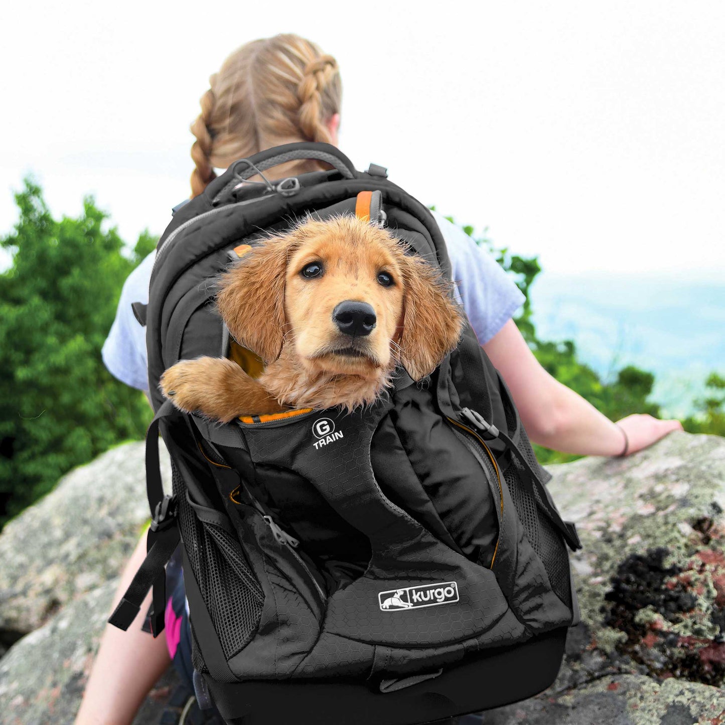 Kurgo G-Train Backpack and Dog Carrier