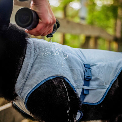 Kurgo Dog Core Cooling Vest