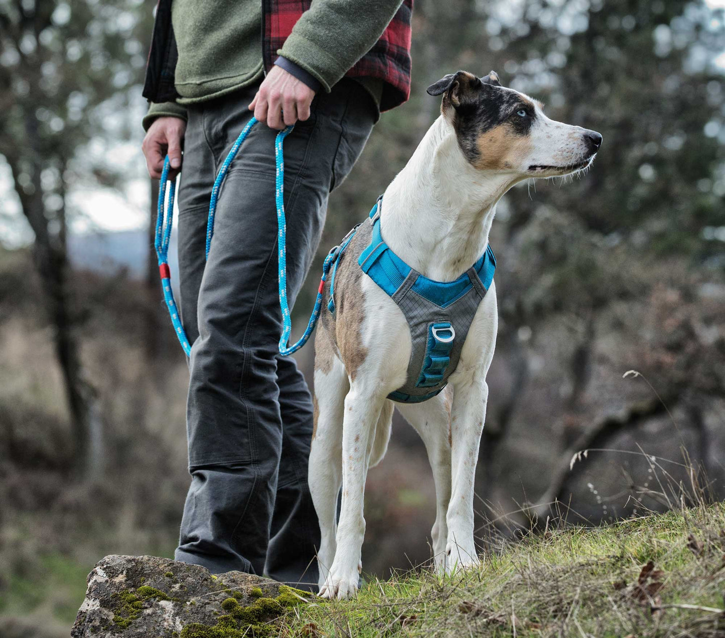 Kurgo Journey Air Harness