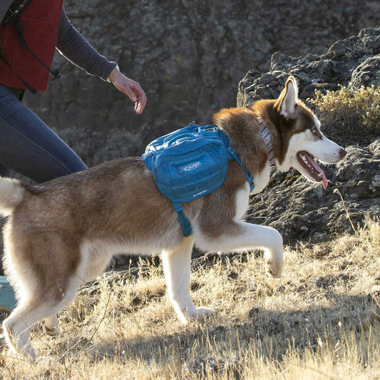 Kurgo RSG Pack Pannier